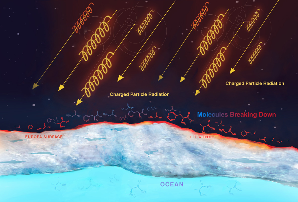 A diagram showing a cross section of Jupiter's icy moon Europa. The ocean is seen in bright blue along the bottom of the diagram. Symbols indicate that it is water in the ocean. Above that, an ice crust is visible with a red line at the top indicating Europa's surface. Above that is the blackness of space, with yellow lines with arrows beaming towards the surface of Europa from the top right of the frame. These are labeled as charged particle radiation. Along the surface of Europa, symbols for molecules are seen breaking apart with a label that says molecules breaking down, indicating that the charged particle radiation is causing molecules to break down on Europa's surface.
