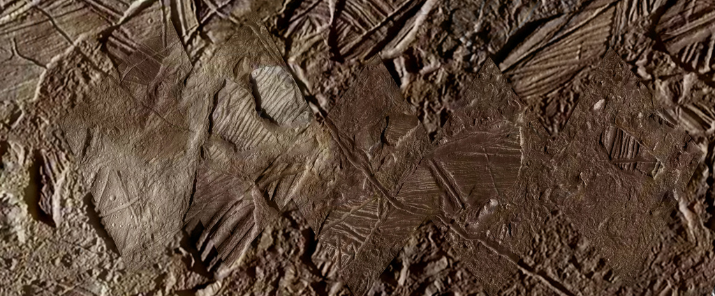 Image of terrain on Europa