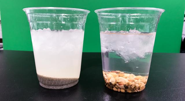 Two clear plastic clubs are visible on a table. The cup visible on the left has sediment on the bottom and water above it. The cup visible on the right has coarse rocks on the bottom and water and ice above it. 